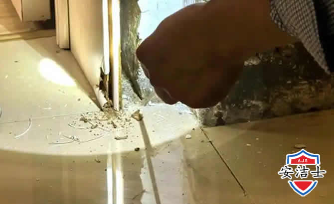 上虞区房屋建筑防治白蚁