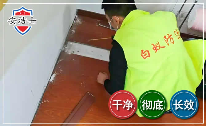 上虞区除四害现场