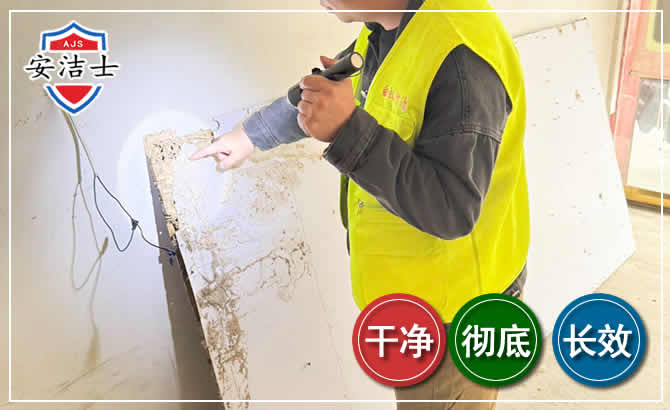 上虞区除白蚁现场