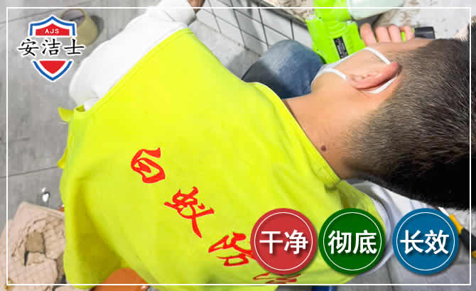 上虞区白蚁根治现场